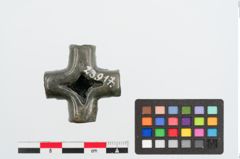 Foto von Bronzeriemendurchzug (NHMW-PRAE-023917)